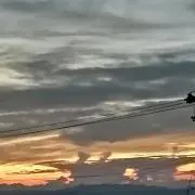 めるの画像