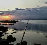 たかさん(ただいま断捨離中)の画像