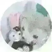ケイトの画像