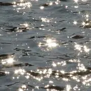 ✶の画像