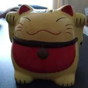 ミィーの画像