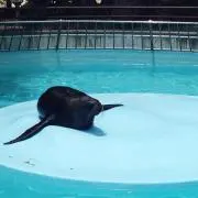 プロフ必読の画像