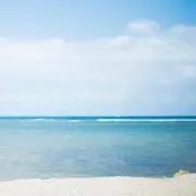 enokokoの画像