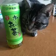 みつこ