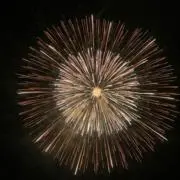 とまとの画像