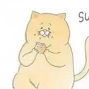ねこのひ