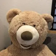 momoの画像
