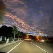 かのたの画像