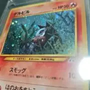 haruの画像