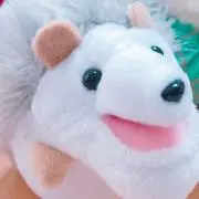 MMMの画像