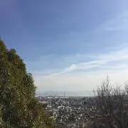 HARUの画像