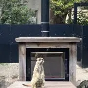 断捨離男爵の画像