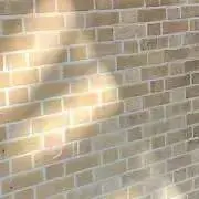 はろの画像