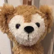 さくら