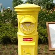 ヤンズの画像