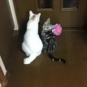 まぁ