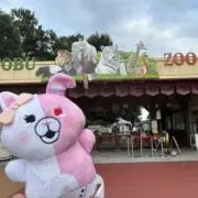 はしゃの画像