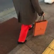 sakuraの画像