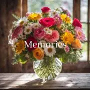 Memoriesの画像