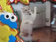 のりちゃん