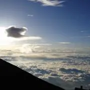 maruの画像