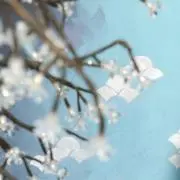 値下げ、バラ売り、相談OK(^^)の画像