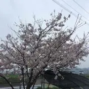 わは