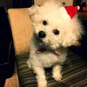 あやの画像