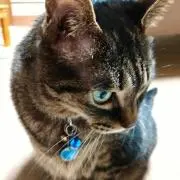 ☆まぁ☆の画像