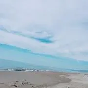 aloha