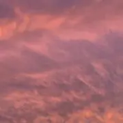 sの画像