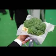 ブロッコリーの画像