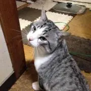 福岡のいくみ