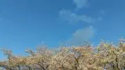 ようかいちゃんの画像