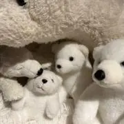 なつみの画像
