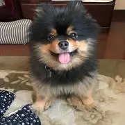 ＰＩＮＯ