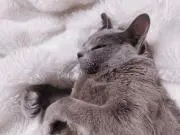 このの画像