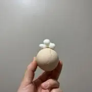 さざえの画像