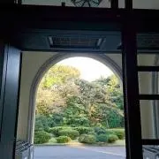 Silviaの画像