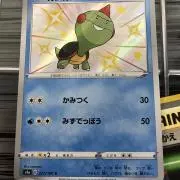 カメカメカメハ