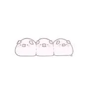 あーちゃんの画像