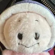 プロフ必読の画像
