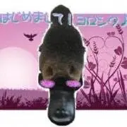 アヒルじゃないよ