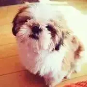 ぴの☆プロフィールご確認くださいの画像