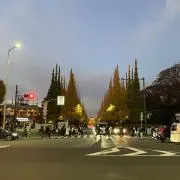 よしお