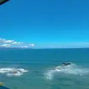 ナナモリ