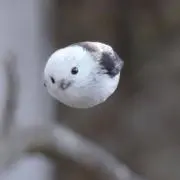 へみんぐうぇいの画像