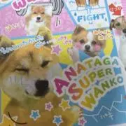 まとめ買いお値下げの画像