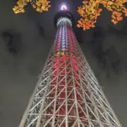 コアラのマーチの画像