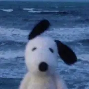 coldの画像